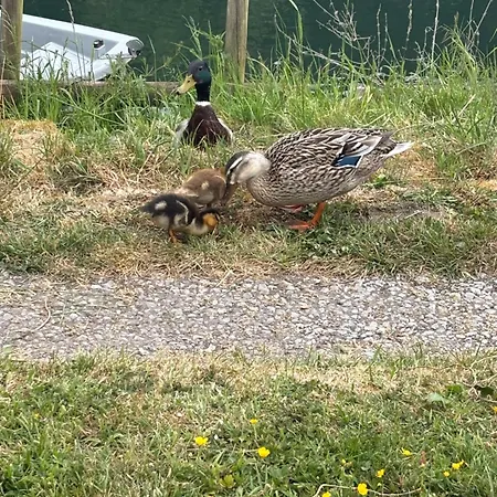 La Maison Du Marais Tilques